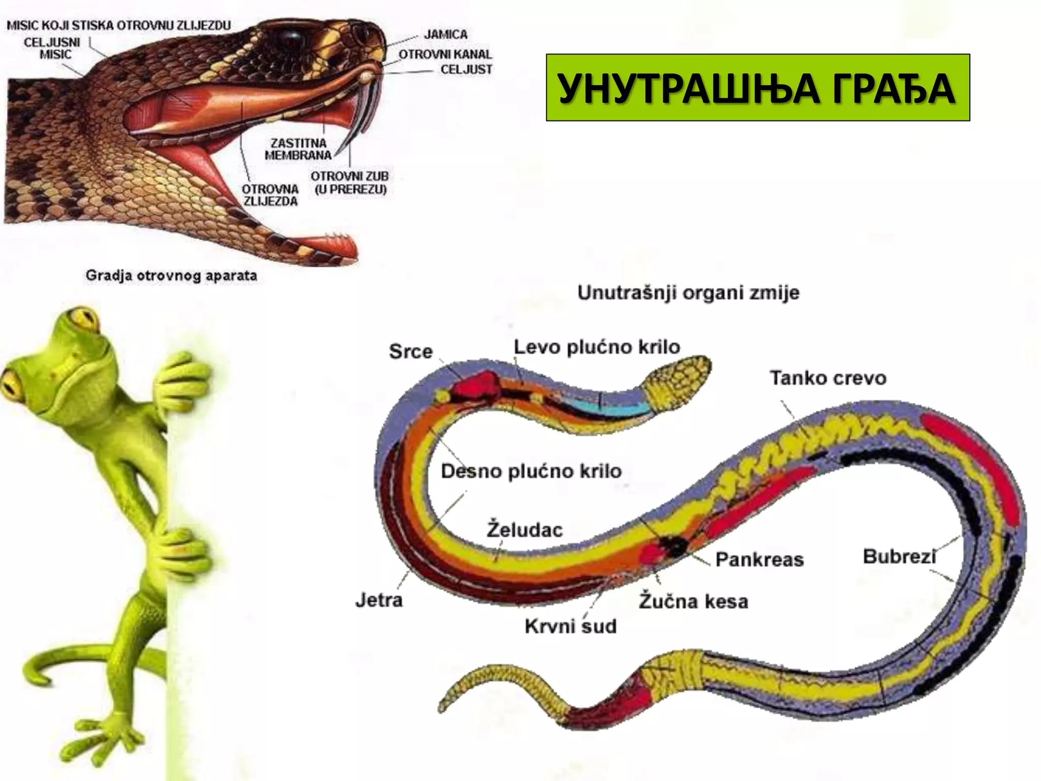 УНУТРАШЊА ГРАЂА
 