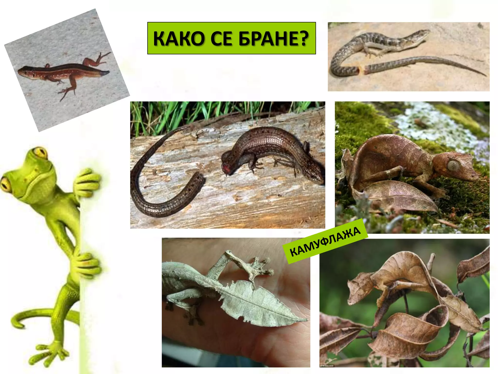 КАКО СЕ БРАНЕ?
 