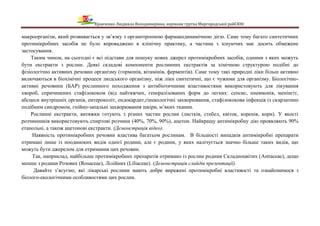 Кравченко Людмила Володимирівна, керівник гуртка Миргородської райСЮН
макроорганізм, який розвивається у зв’язку з органотропною фармакодинамічною дією. Саме тому багато синтетичних
протимікробних засобів не було впроваджено в клінічну практику, а частина з існуючих має досить обмежене
застосування.
Таким чином, на сьогодні є всі підстави для пошуку нових джерел протимікробних засобів, одними з яких можуть
бути екстракти з рослин. Деякі складові компоненти рослинних екстрактів за хімічною структурою подібні до
фізіологічно активних речовин організму (гормонів, вітамінів, ферментів). Саме тому такі природні ліки більш активно
включаються в біохімічні процеси людського організму, ніж ліки синтетичні, що є чужими для організму. Біологічно-
активні речовини (БАР) рослинного походження з антибіотичними властивостями використовують для лікування
хвороб, спричинених стафілококом (від найтяжчих, генералізованих форм до легких: сепсис, пневмонія, менінгіт,
абсцеси внутрішніх органів, ентероколіт, ендокардит,гінекологічні захворювання, стафілококова інфекція із скарлатино
подібним синдромом, гнійно-запальні захворювання шкіри, м’яких тканин.
Рослинні екстракти, витяжки готують з різних частин рослин (листків, стебел, квіток, коренів, кори). У якості
розчинників використовують спиртові розчини (40%, 70%, 90%), ацетон. Найкращу антимікробну дію проявляють 90%
етанольні, а також ацетонові екстракти. (Демонстрація відео).
Наявність протимікробних речовин властива багатьом рослинам. В більшості випадків антимікробні препарати
отримані лише із поодиноких видів однієї родини, але є родини, у яких налічується значно більше таких видів, що
можуть бути джерелом для отримання цих речовин.
Так, наприклад, найбільше протимікробних препаратів отримано із рослин родини Складноцвітих (Astraceae), дещо
менше з родини Розових (Rosaceae), Лілійних (Liliaceae). (Демонстрація слайдів презентації).
Давайте з’ясуємо, які лікарські рослини мають добре виражені протимікробні властивості та ознайомимося з
біолого-екологічними особливостями цих рослин.
 