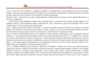 Кравченко Людмила Володимирівна, керівник гуртка Миргородської райСЮН
Учень 7. Омела біла (Viscum album) – «чагарник на деревах», «пташиний клей» - це напівпаразит, що росте на листяних
деревах і водночас цінна лікарська рослина. Екстракт листя цієї рослини антимікробну та кровоспинну дію. Рослинний
екстракт трави омели білої пригнічує ріст близько 46% штамів стафілококів.
Керівник гуртка. Усі рослини, що мають добре виражені антибактеріальні властивості мають фракції фенольного та
кислотного характерів.
Досить високу протимікробну активність мають деревій, буркун, сушениця болотна, гірчак зміїний, звіробій, м’ята
перцева, евкаліпт, полин звичайний, кермек широколистий, гінкго дволопатеве, гринделія розчепірена, біота східна,
сіверсія гірська. (Демонстрація слайдів презентації).
Учень 1. Буркун лікарський (Melilotus officinalis) – це дворічна кормова трав’яниста рослина, що належить до родини
Бобові. (Демонстрація слайдів презентації). Зростає на луках, узліссях та в степах по всій території України. Квітка цієї
рослини жовтого кольору. Буркун жовтий, або лікарський – цінний медонос та лікарська рослина.
Учень 6. Полин гіркий (народна назва: полин справжній, полин польовий, дикий перець, полин звичайний) (Artemisia
absinthii L) – цінна лікарська рослина. Варто зазначити, що трава полину гіркого містить 0,5 – 2 % ефірної олії, до складу
якої входить туйіловий ряд вуглеводів. Окрім того, з трави виділяють флаваноїд артементин (артемазетин), дубильні
речовини, органічні кислоти, каротин та аскорбінову кислоту. Оскільки полин гіркий відноситься до групи ароматичних
гіркот, то має добре виражену протизапальну та антимікробну дію. При цьому він посилює функцію травних залоз.
Ефірне масло має секреторну дію, збуджує нервову систему.
Учень 2. Звіробій звичайний люди називають «травою від 99 хвороб». І справді: він входить до складу лікувальних
зборів проти багатьох хвороб. Це багаторічна трав’яниста рослина з відростаючими щороку стеблами. Стебла прямі,
заввишки 30-100 см, двогранні, вгорі розгалужені. Листки овальні або довгасті. Квітки яскраво-жовті, з бурими
цяточками, зібрані в щитоподібні суцвіття. Плід – багато насіннєва коробочка, що розкривається. (Демонстрація слайдів
презентації). Ця рослина росте повсюдно: в лісових посадках, при польових дорогах, на схилах, сухих луках, у заростях.
 