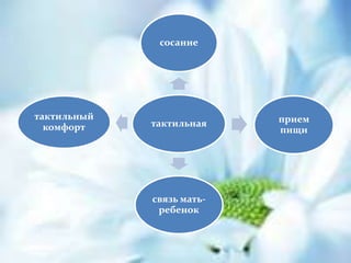 тактильная
сосание
прием
пищи
связь мать-
ребенок
тактильный
комфорт
 