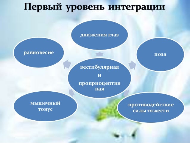 Сенсорная моторная интеграция