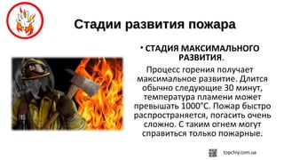 Стадии развития пожараСтадии развития пожара
• СТАДИЯ МАКСИМАЛЬНОГО
РАЗВИТИЯ.
Процесс горения получает
максимальное развитие. Длится
обычно следующие 30 минут,
температура пламени может
превышать 1000°С. Пожар быстро
распространяется, погасить очень
сложно. С таким огнем могут
справиться только пожарные.
 