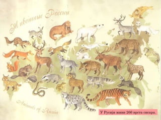У Русији живи 266 врста сисара.
 