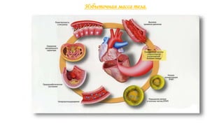 Избыточная масса тела.
 