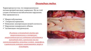Долипидная стадия.
Характеризуется тем, что микроскопически
интима артерий выглядит нормально. Но на этой
стадии отмечаются метаболические нарушения.
Они проявляются в:
 Макроглобулинемии.
 Гиперхолестеринемии.
 Появлении липопротеидов низкой плотности.
 Нарушении минерального обмена.
 Активизации гиалуронидазы.
В интиме в долипидной стадии при
микроскопическом и электронно-
микроскопическом исследовании наблюдаются
мукоидный отек, накопление кислых
мукополисахаридов, пенистые клетки- макрофаги,
в цитоплазме которых накапливаются жиры и
холестерин.
 