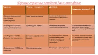 Другие гормоны передней доли гипофиза:
Гормоны. Органы – «мишени». Действие.
Нарушение функции (+); (-)
Адренокортикотропный
(АКТГ), или
кортикотропин.
Кора надпочечников. Активизирует образование
глюкокортикоидов и половых
гормонов.
Тиреотропный (ТТГ)
гормон, или тиротропин.
Щитовидная железа. Активизирует выделение
тироксина и триийодтиранина
(+) Нарушение обмена веществ,
увеличение сахара в крови,
ожирение, у женщин растут борода
и усы.
Гонадотропные (ГТГ):
фоллитро-пин и лютропин.
Яичники и семенники
(яички).
ФТ – стимулирует соз-ревание
фолликулов в яичнике и
спермато-генез в яичках. ЛТ
– овуляция; выра-ботка
тестостерона.
(+) – раннее половое созревание.
(-) – гипофункция половых желез,
стертые вторичные половые
признаки
Лактотропный (ЛТГ), или
пролактин.
Молочные железы. Стимулирует выработку молока.
 