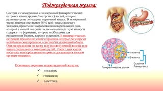 Поджелудочная железа:
Состоит из экзокринной и эндокринной (панкреатические
островки или островки Лангерганса) частей, которые
развиваются из энтодермы первичной кишки. В экзокринной
части, которая составляет 98 % всей массы железы у
человека, происходит выработка пищеварительного сока,
который с пищей поступает в двенадцатиперстную кишку и
содержит те ферменты, которые необходимы для
расщепления белков, жиров и углеводов. В панкреатических
островках происходит синтез гормонов, которые регулируют
метаболические процессы, в частности углеводный обмен.
Они распределены по всему телу поджелудочной железы и не
имеют специальных выводных путей. Секрет этих клеток
поступает непосредственно в кровь и доставляется ко всем
органам-мишеням.
Основные гормоны поджелудочной железы:
 инсулин;
 глюкагон;
 с-пептид.
 