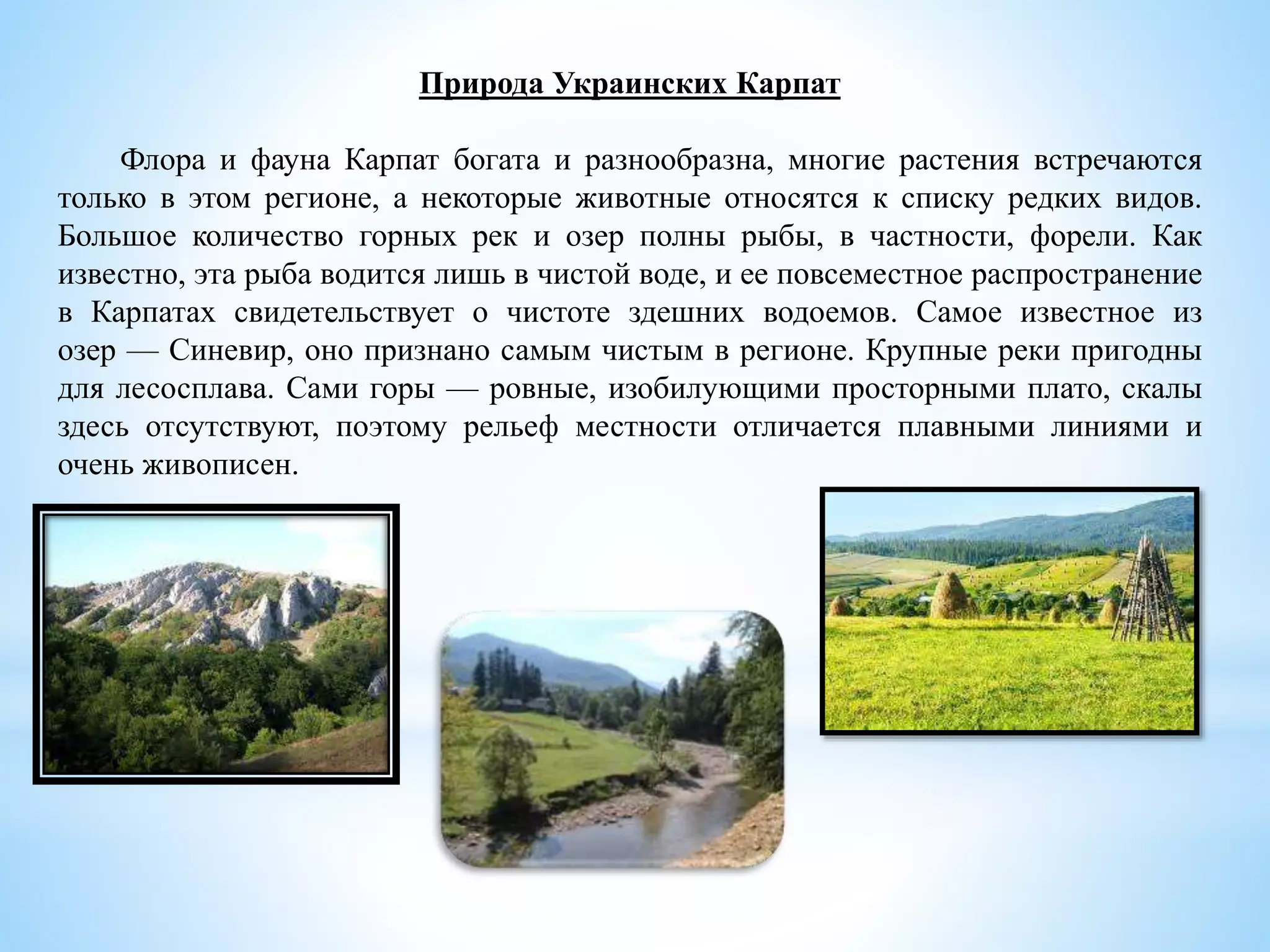 Природа Украинских Карпат
Флора и фауна Карпат богата и разнообразна, многие растения встречаются
только в этом регионе, а некоторые животные относятся к списку редких видов.
Большое количество горных рек и озер полны рыбы, в частности, форели. Как
известно, эта рыба водится лишь в чистой воде, и ее повсеместное распространение
в Карпатах свидетельствует о чистоте здешних водоемов. Самое известное из
озер — Синевир, оно признано самым чистым в регионе. Крупные реки пригодны
для лесосплава. Сами горы — ровные, изобилующими просторными плато, скалы
здесь отсутствуют, поэтому рельеф местности отличается плавными линиями и
очень живописен.
 