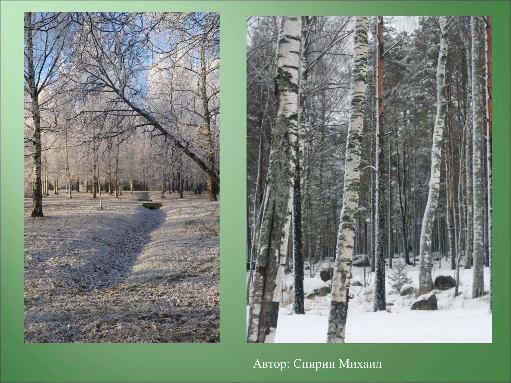 Автор: Спирин Михаил
 