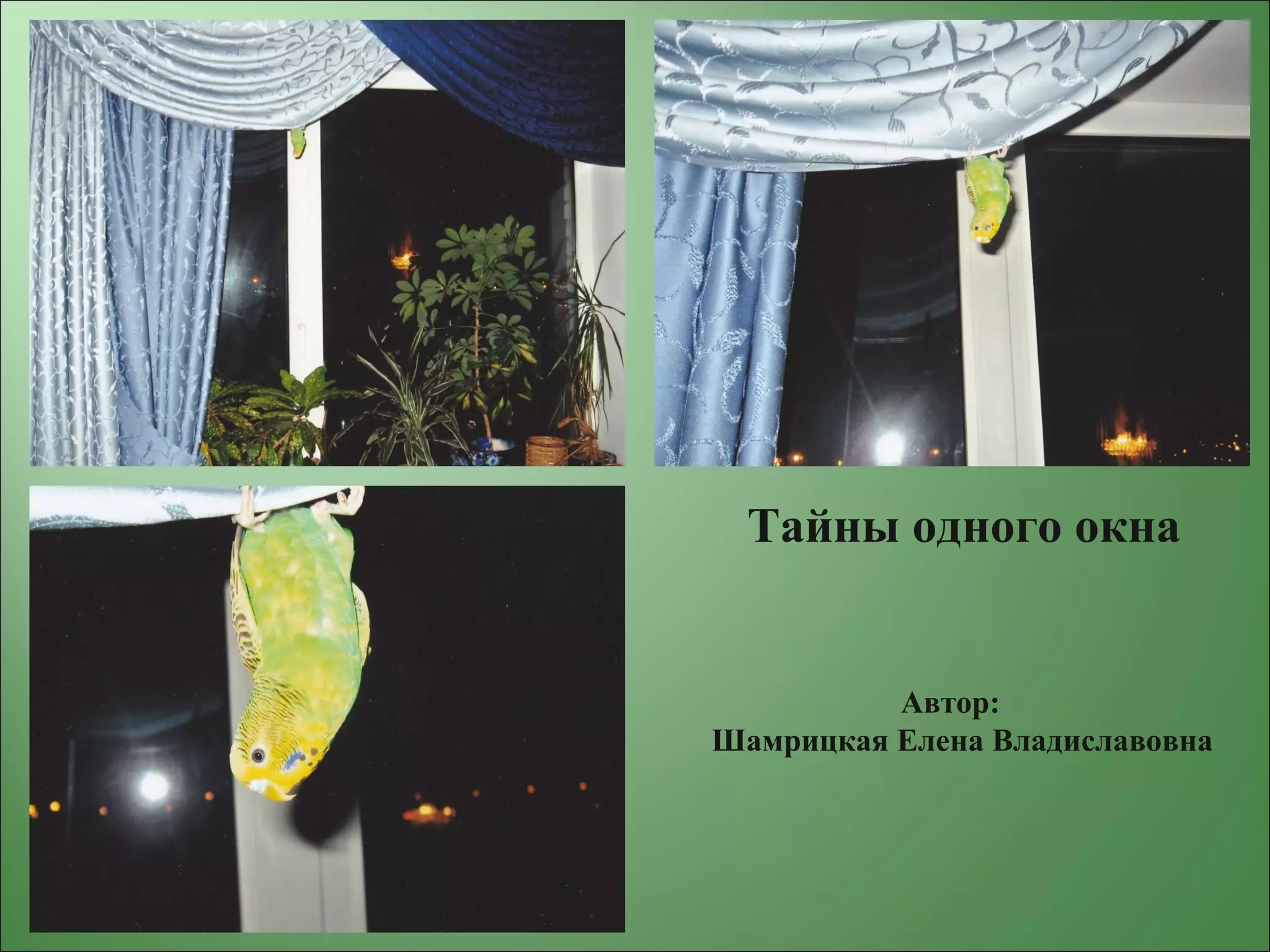 Тайны одного окна
Автор:
Шамрицкая Елена Владиславовна
 