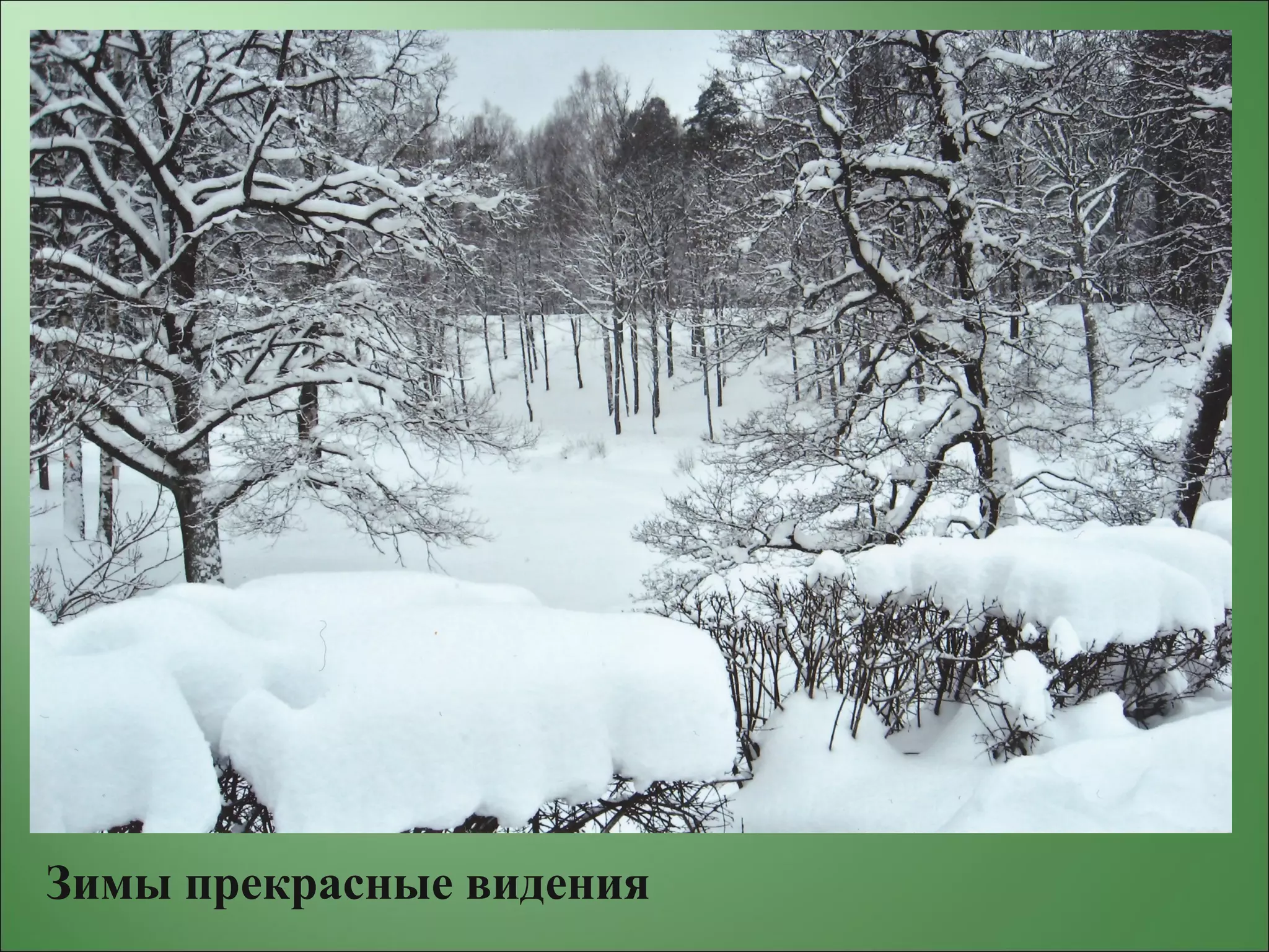 Зимы прекрасные видения
 