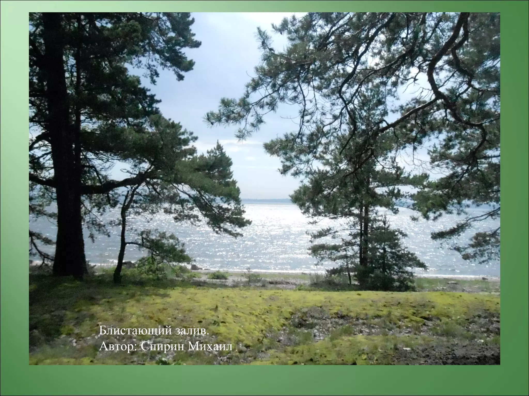 Блистающий залив.
Автор: Спирин Михаил
 