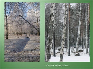 Автор: Спирин Михаил
 