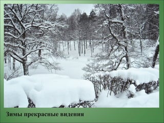 Зимы прекрасные видения
 