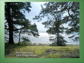 Блистающий залив.
Автор: Спирин Михаил
 