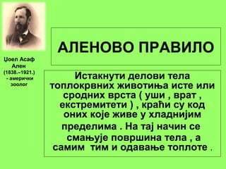 АЛЕНОВО ПРАВИЛО
Истакнути делови тела
топлокрвних животиња исте или
сродних врста ( уши , врат ,
екстремитети ) , краћи су код
оних које живе у хладнијим
пределима . На тај начин се
смањује површина тела , а
самим тим и одавање топлоте .
Џоел Асаф
Ален
(1838.–1921.)
- амерички
зоолог
 
