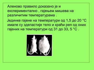 Аленово правило доказано је и
експериментално , гајењем мишева на
различитим температурама .
Јединке гајене на температури од 1,5 до 20 °С
имале су здепастије тело и краћи реп од оних
гајених на температури од 31 до 33, 5 °С .
 