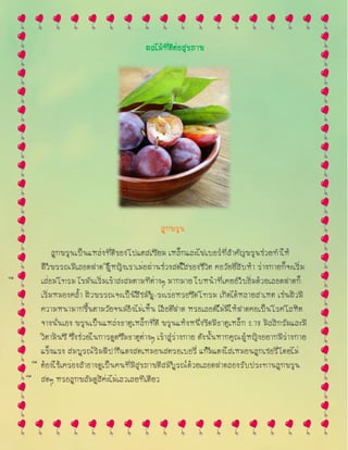 ผลไม้ที่ดีต่อสุขภาพ
ลูกพรุน
ลูกพรุนเป็นแหล่งที่ดีของโปแตสเซียม เหล็กและไฟเบอร์ที่สาคัญพรุนช่วยทาให้
ผิวพรรณมีเลื อดฝาด ผู้หญิงเราเมื ่อผ่านช่วงสดใสของชีวิต คื อวัยยี่สิบห้า ร่างกายก็จะเริ่ม
เสื ่อมโทรม ไขมันเริ่มเข้าสะสมตามทีต่างๆ มากมาย ใบหน้าที่เคยอวบอิ่มด้วยเลื อดฝาดก็
เริ่มหมองคล้า ผิวพรรณจะเป็นสีชมพู-ระเรื ่อหรื อซีดโทรม เกิดได้หลายสาเหต เช่นผิวมี
ความหนามากขึ้นตามวัยจนมองไม่เห็น เลื อดฝาด หรื อเลื อดไม่มีให้ฝาดคื อเป็นโรคโลหิต
จางนั่นเอง พรุนเป็นแหล่งธาตุเหล็กที่ดี พรุนแห้งหนึ่งขีดมีธาตุเหล็ก 2.78 มิลลิกรัมและมี
วิตามินซี ซึ่งช่วยในการดูดซึมธาตุต่างๆ เข้าสู่ร่างกาย ดังนั้นหากคุณผู้หญิงอยากมีร่างกาย
แข็งแรง สมบูรณ์ริมฝีปากแดงสดเหมื อนสตรอเบอรี่ แก้มแดงใสเหมื อนลูกเชอรี่โดยไม่
ต้องใช้เครื ่องสาอางดูเป็นคนที่มีสุขภาพดีสมบูรณ์ด้วยเลื อดฝาดลองรับประทานลูกพรุน
สดๆ หรื อลูกพลัมดูสิค่ะไม่เลวเลยทีเดียว
 