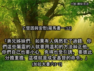 小組 (團契)生活
2.堅固與安慰(羅馬書一:12)
「弟兄姊妹們，如果有人偶然犯了過錯，你
們這些屬靈的人就要用溫和的方法糾正他。
你們自己也要小心，免得也受引誘。 要彼此
分擔重擔，這樣就是成全基督的命令。」
(加拉太書六1~2)
 