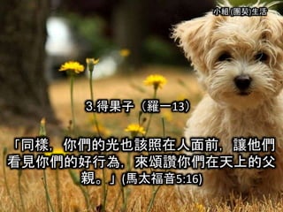 小組 (團契)生活
3.得果子（羅一13）
「同樣，你們的光也該照在人面前，讓他們
看見你們的好行為，來頌讚你們在天上的父
親。」(馬太福音5:16)
 