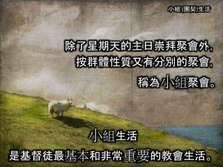 小組 (團契)生活
除了星期天的主日崇拜聚會外，
按群體性質又有分別的聚會，
稱為小組聚會。
小組生活
是基督徒最基本和非常重要的教會生活。
 