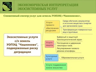 Сниженный спектр услуг для земель УОПЭЦ «Чашниково»,
ЭКОНОМИЧЕСКАЯ ИНТЕРПРЕТАЦИЯ
ЭКОСИСТЕМНЫХ УСЛУГ
 