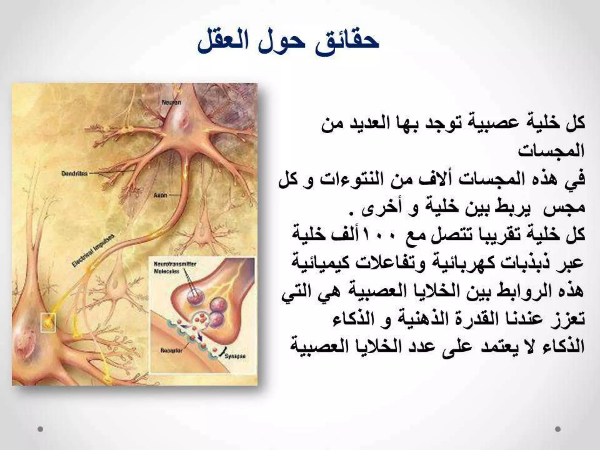 مهارات التفوق الدراسي 