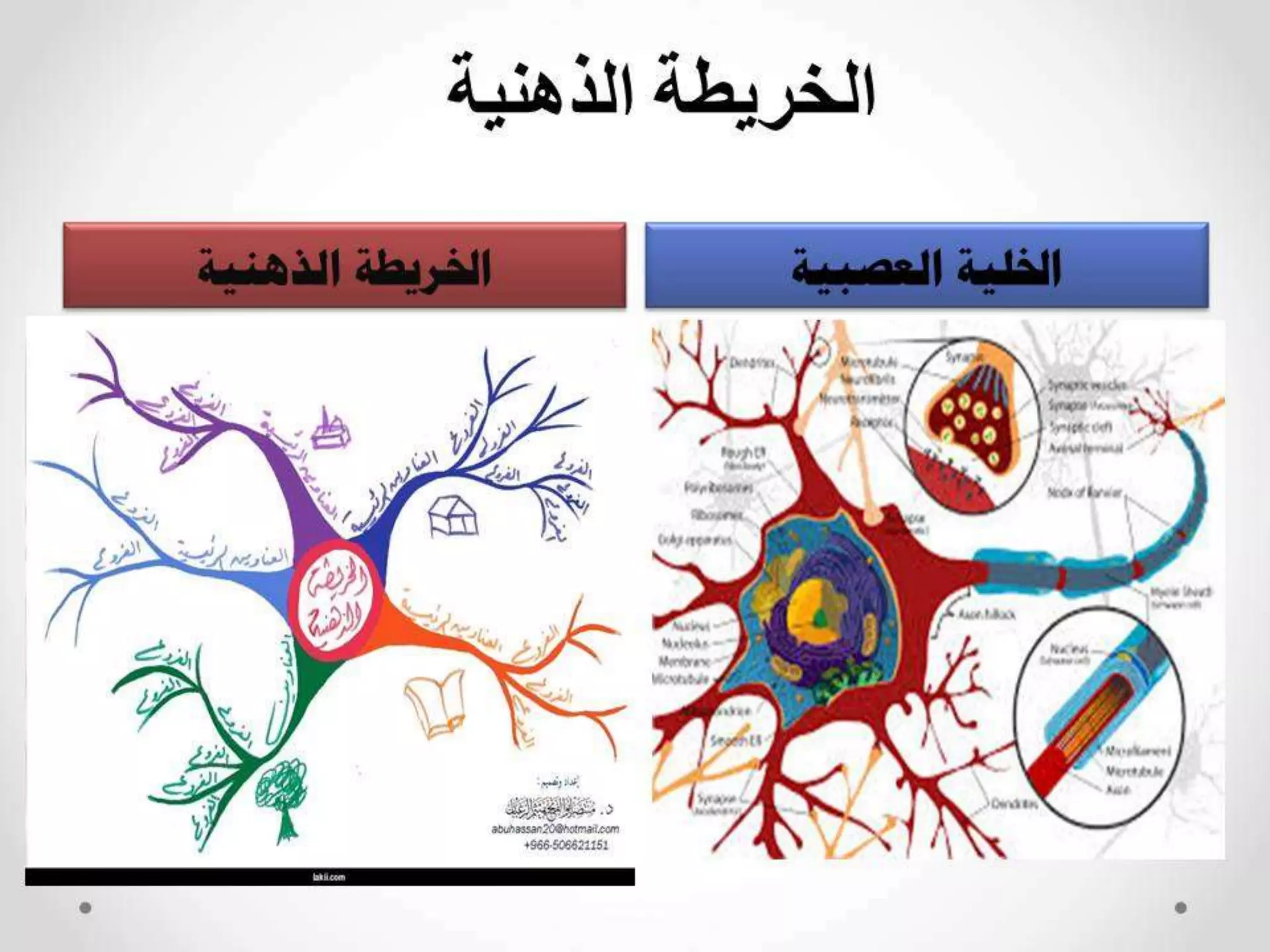 مهارات التفوق الدراسي 