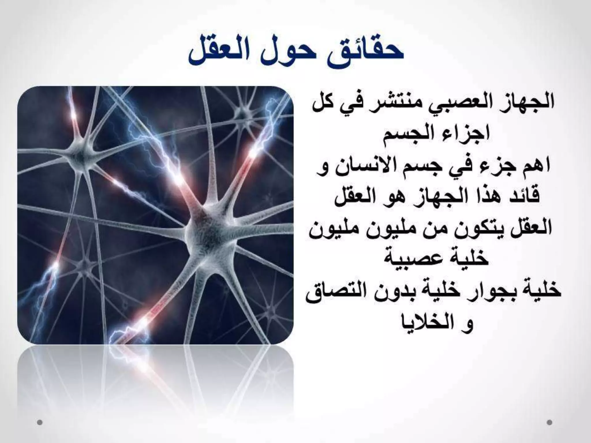 مهارات التفوق الدراسي 