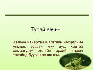 тулай өвчин | PPT
