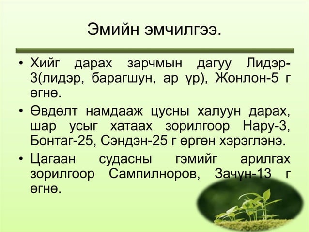 тулай өвчин | PPT
