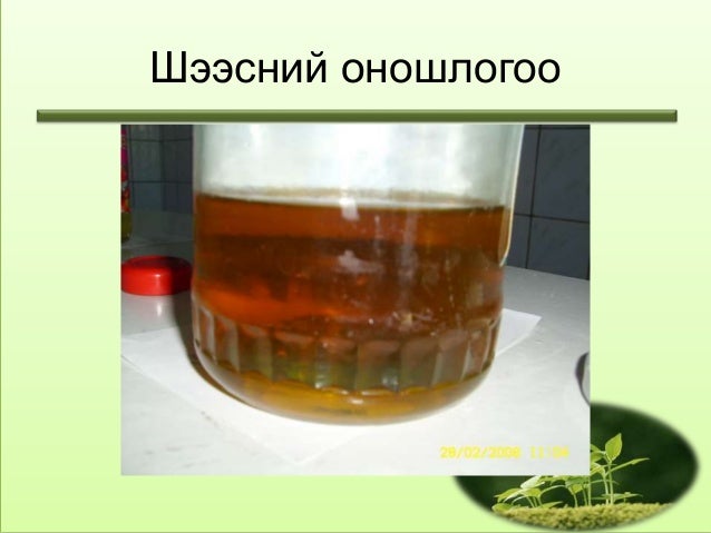 тулай өвчин