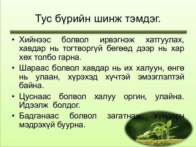 тулай өвчин