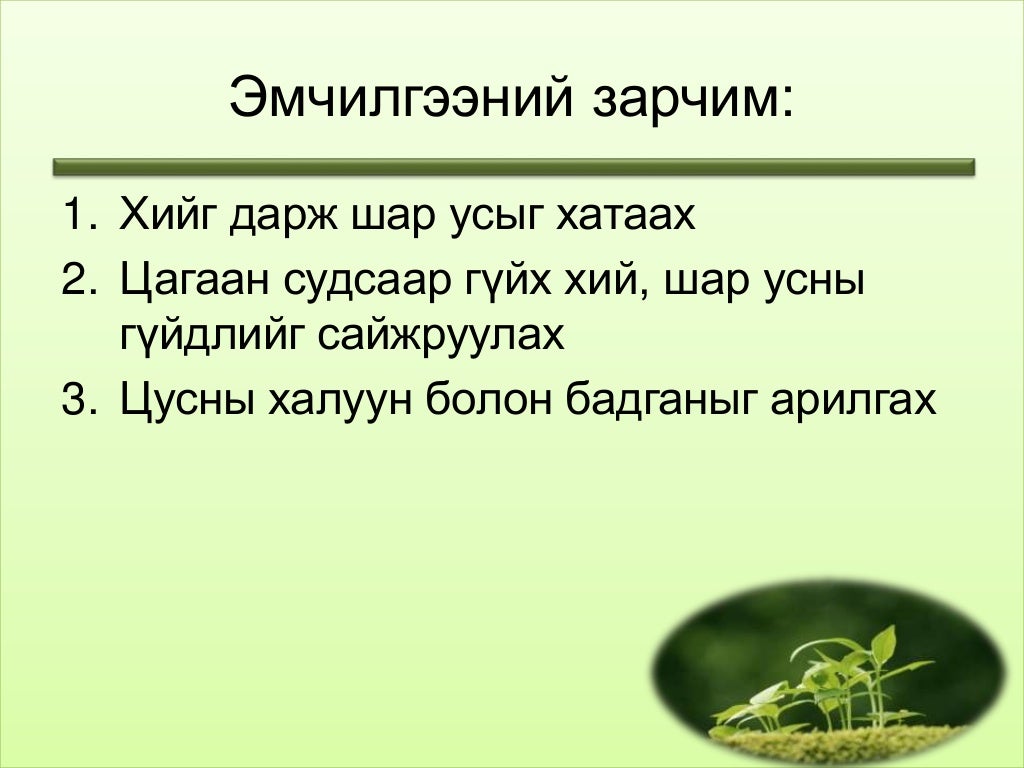 тулай өвчин