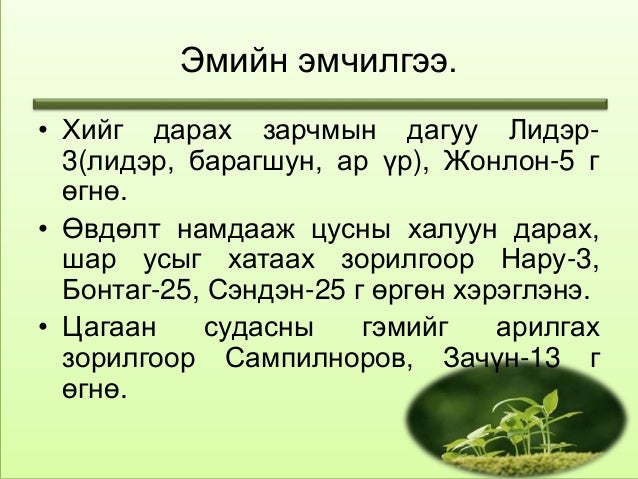 тулай өвчин