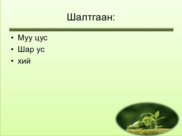тулай өвчин