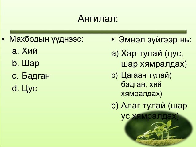 тулай өвчин
