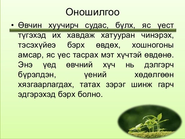 тулай өвчин