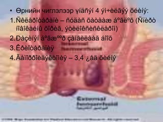 • Өрнийн чиглэлээр үíäñýí 4 ýì÷èëãýý õéèíý:
1.Ñêëåðîòåðàïè – ñóäàñ õàòààæ áºãëºõ (Ñïèðò
íîâîêàéíû õîðèã, ýòèëîêñèñêëåðîì)
2.Ðåçèíýí áºãæººð çàíãèëààã áîîõ
3.Êðèîòåðàïèÿ
4.Ãåìîððîèäýêòîìèÿ – 3,4 ¿åä õèéíý
 