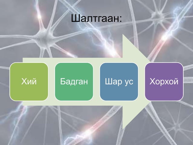 цагаан судасны өвчин | PPT