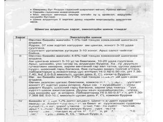 чацга алдах хам шинж