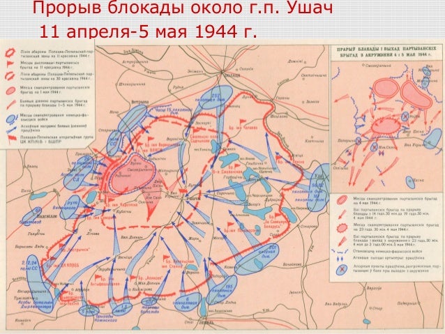 Транзит авто партизанская 25