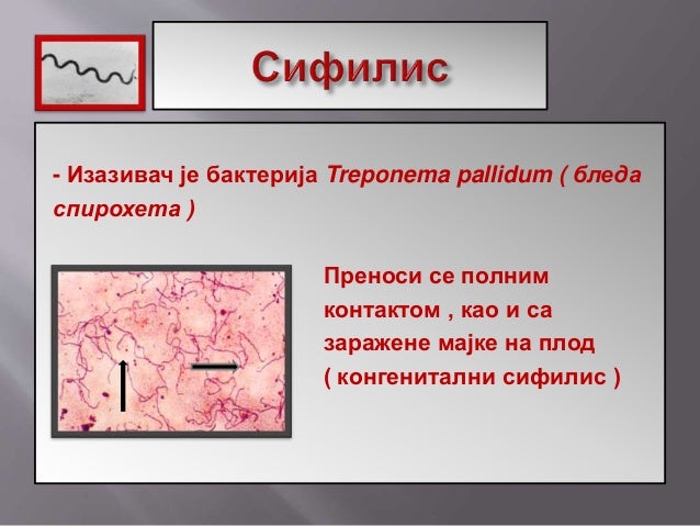 Полно преносиве болести