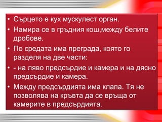 • Сърцето е кух мускулест орган.
• Намира се в гръдния кош,между белите
дробове.
• По средата има преграда, която го
разделя на две части:
• - на ляво предсърдие и камера и на дясно
предсърдие и камера.
• Между предсърдията има клапа. Тя не
позволява на кръвта да се връща от
камерите в предсърдията.
 
