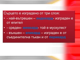 Сърцето е изградено от три слоя:
• - най-вътрешен – ендокард- изграден е
от епител
• - среден- миокард- той е мускулест
• - външен – епикард – изграден е от
съединителна тъкан и от перикард
 
