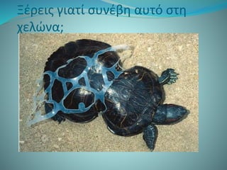 Ξέρεις γιατί συνέβη αυτό στη
χελώνα;
 