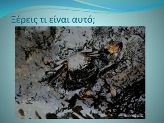 Ξέρεις τι είναι αυτό;
 