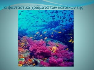 Τα φανταστικά χρώματα των κατοίκων της
 