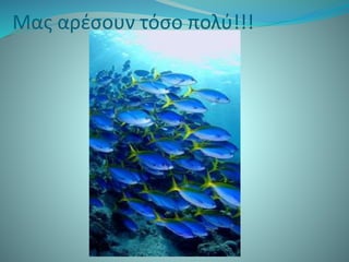 Μας αρέσουν τόσο πολύ!!!
 